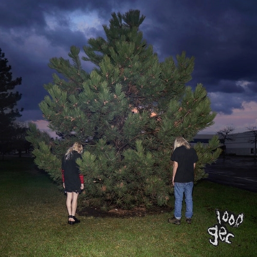 1000 gecs album cover.