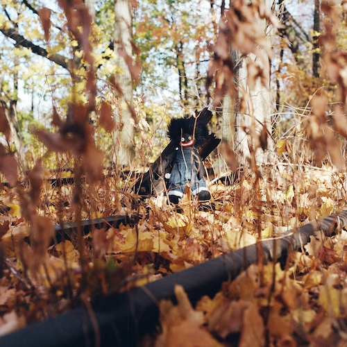 GOLLIWOG album cover.