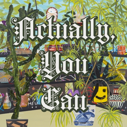 Actually, You Can album cover.