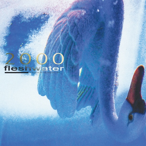 2000: In Search of the Endless Sky album cover.