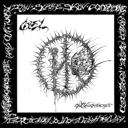 Only Constant album cover.