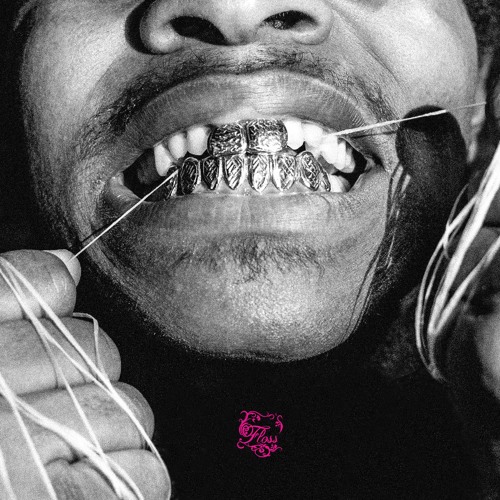 Floss album cover.