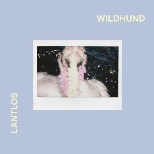 Wildhund album cover.