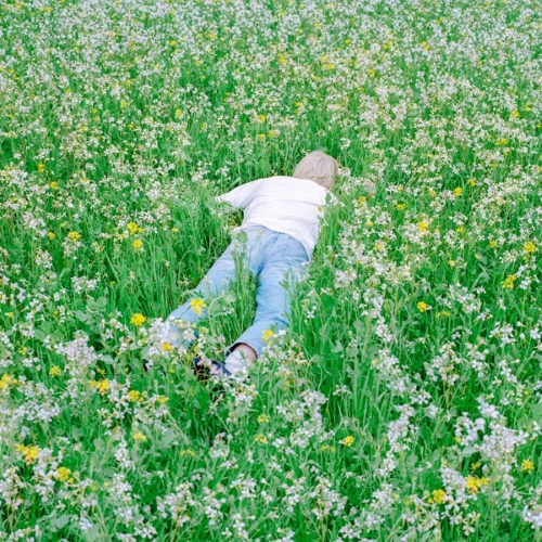 Nurture album cover.