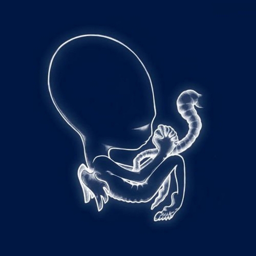 Ágætis byrjun album cover.