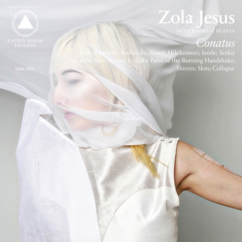 Conatus album cover.